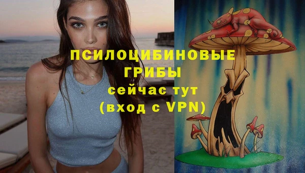 каннабис Гусиноозёрск