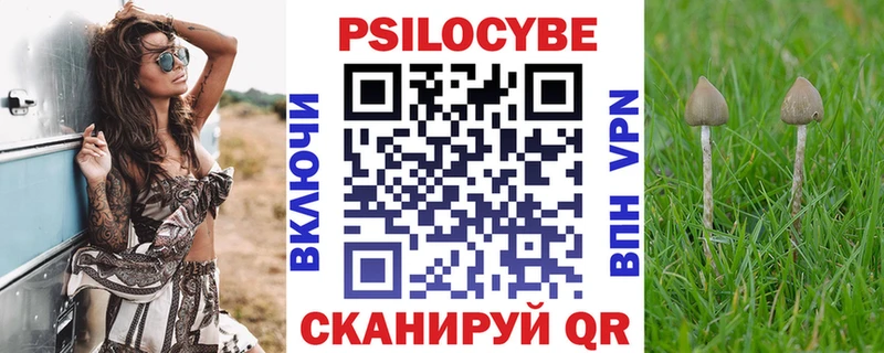 Псилоцибиновые грибы Cubensis omg рабочий сайт Донской